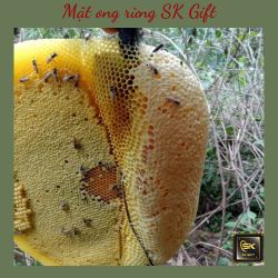 Tổ Mật Ong Rừng Nguyên Chất Cam Kết Hàng Chuẩn Rừng 100%