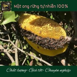 Mật Ong Rừng Loại 1 ưu đãi Lớn