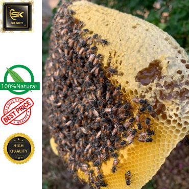 Mật Ong Rừng Nguyên Tổ Xuất Xứ Hoàn Toàn Tự Nhiên 100%