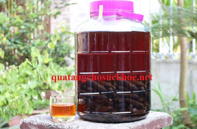 Công Dụng Của Chuối Và ăn Chuối Hột Có Tác Dụng Gì?