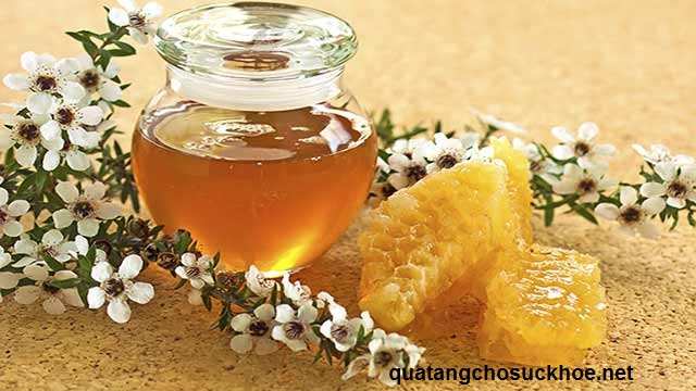 Khám Phá Các Loại Ong Mật Phổ Biến Ở Việt Nam
