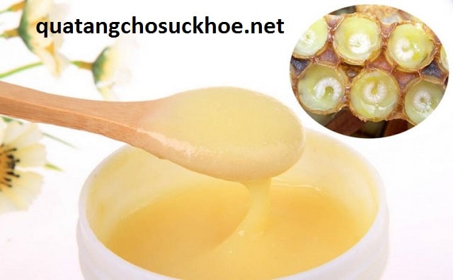 Cách Bảo Quản Sữa Ong Chúa Tươi Lâu Không Bị Hỏng