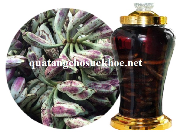 Bí Quyết Cách Ngâm Rượu Chuối Hột Chín đúng Cách Giúp Chữa Bệnh