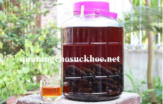 Cách Ngâm Rượu Chuối Hột Rừng Xanh Của Núi Rừng Tây Bắc