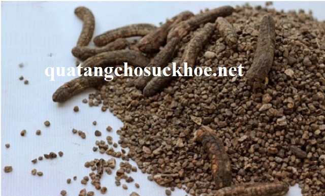 Cách Ngâm Rượu Hạt Chuối Hột đơn Giản, đúng Tiêu Chuẩn Tại Nhà