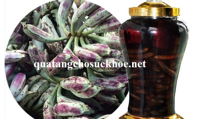 Cách Ngâm Rượu Chuối Hột Tươi Bổ Dưỡng Tốt Cho Cơ Thể