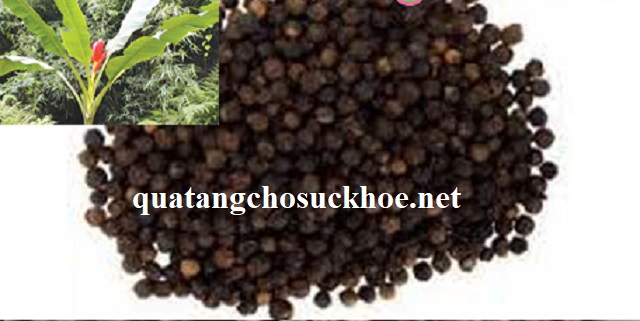 Công Dụng Thần Kỳ Của Hạt Chuối Hột đối Với Sức Khỏe