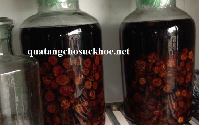 Tác Dụng Của Cây Chuối Hột Rừng, Loại Thuốc Tốt Cho Sức Khỏe