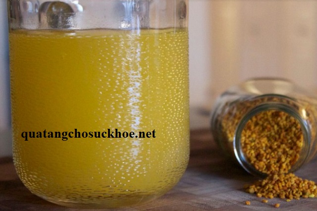 Phấn Hoa Ngâm Mật Ong Có Tác Dụng Tuyệt Vời Như Thế Nào?