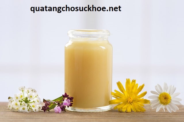 Ăn Sữa Ong Chúa Có Tác Dụng Gì Khi Sử Dụng đúng Cách?