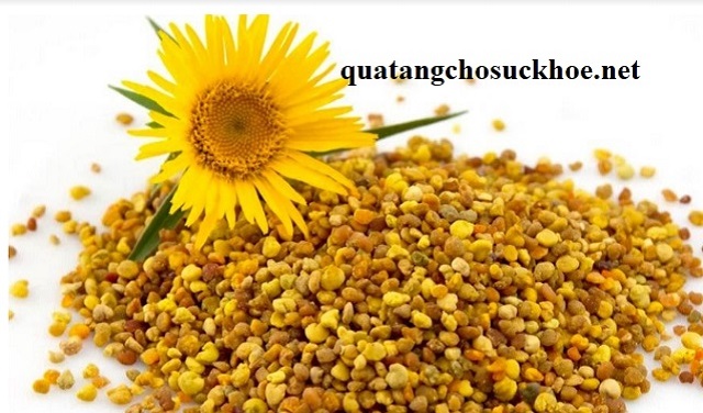 Bạn đã Biết địa Chỉ Mua Phấn Hoa ở đâu Uy Tín, Chất Lượng Chưa?