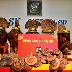 Nấm Lim Xanh Trồng 60 - 90 Tai  1 KG